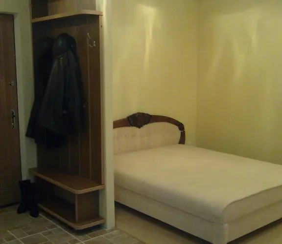 Apartment At Kirova Avenue